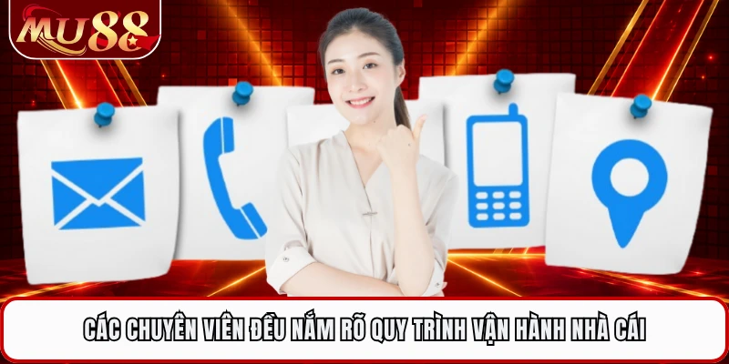 Các chuyên viên đều nắm rõ quy trình vận hành nhà cái