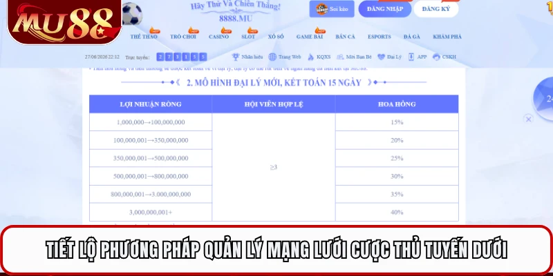 Tiết lộ phương pháp quản lý mạng lưới cược thủ tuyến dưới